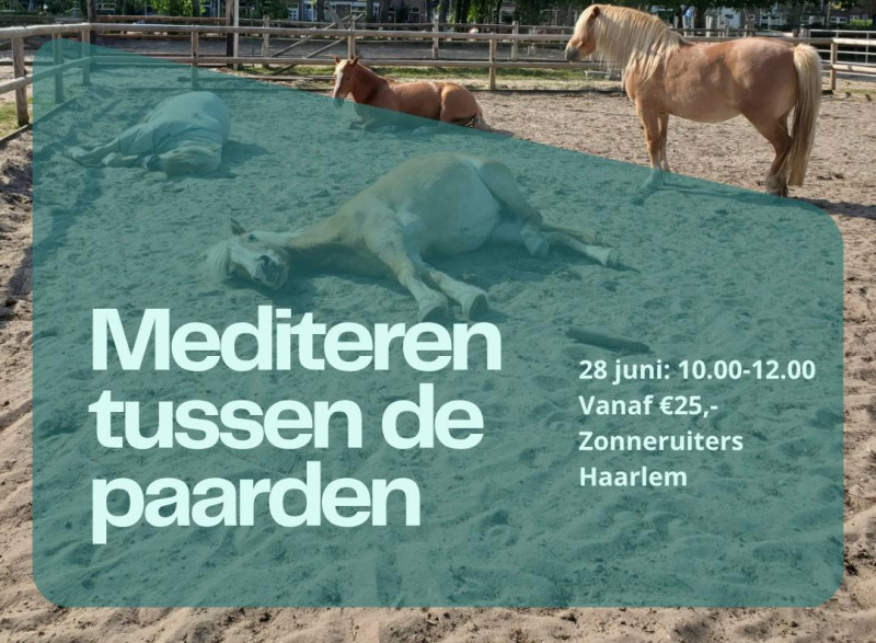 Mediteren tussen de paarden - Haarlem
