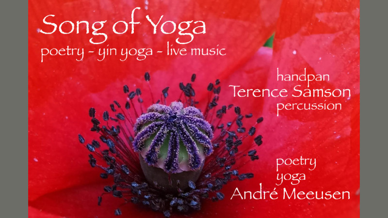 Yoga Concert | poetry, yin yoga and live music with Terence Samson