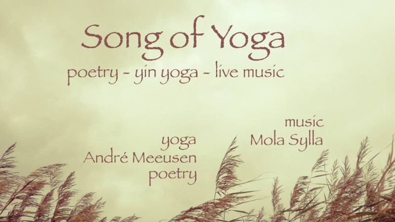 Yoga Concert | poetry, yin yoga and live music with Mola Sylla