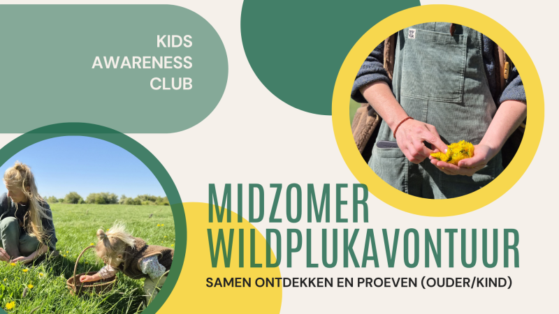 Midzomer Widplukavontuur: Samen ontdekken & proeven (ouder & kind) - Ouder-kind, Samen eten, Natuur