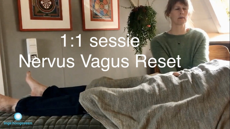 Nervus Vagus Reset - 1:1 sessie lichaamswerk