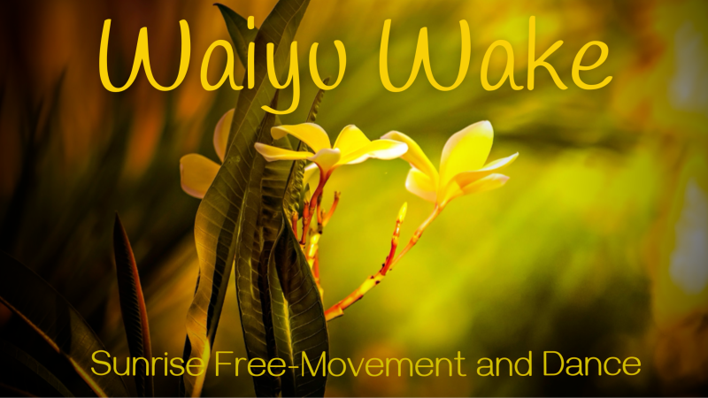 Waiyu Wake Wageningen || Sunrise Free Movement, Dance & Breakfast - Free Dance, Ecstatic Dance, Authentic Movement