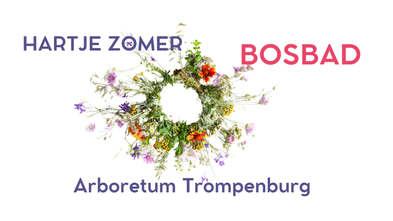 Zomerbosbad in Trompenburg – 夏の森林浴
