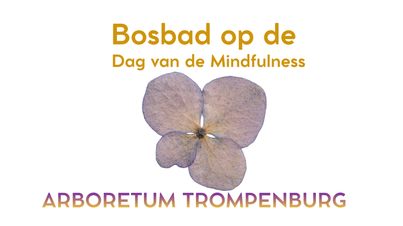 Waar aarde fluistert – Bosbad op de Dag van de Mindfulness