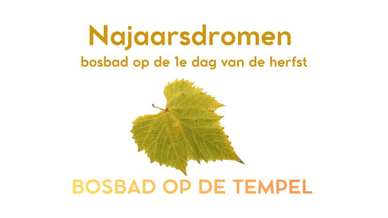 Najaarsdromen – Bosbad op de eerste dag van de herfst
