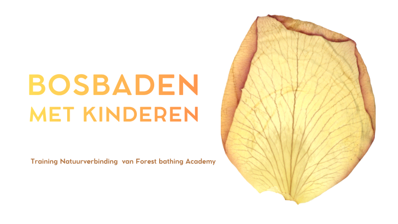 Bosbaden met Kinderen - training voor begeleiders natuuruitjes