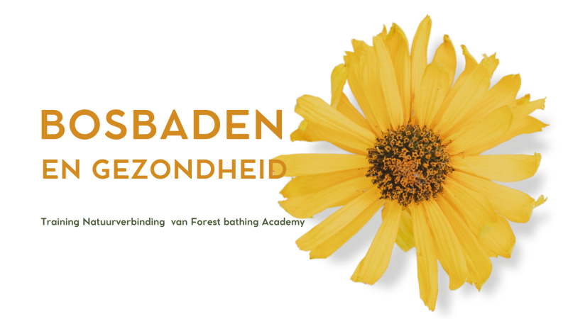 Natuur, gezondheid en bosbaden - training voor professionals: