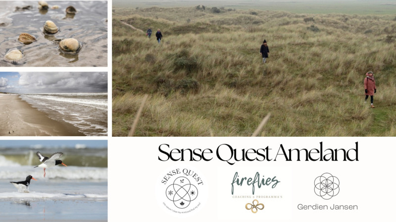 Sense Quest lang weekend Ameland voor vrouwen