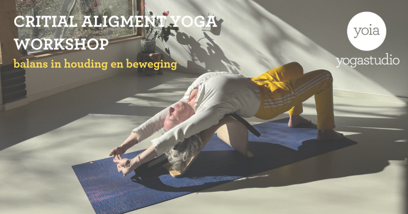 Critical Alignment Yoga Workshop