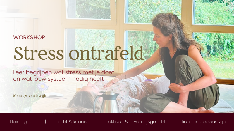 Stress Ontrafeld | workshop over stress, adem & zenuwstelsel - Gezondheid, Ademwerk, Vrouwen workshops