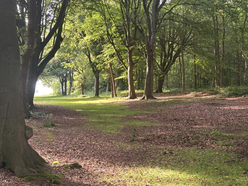 Volle maan cirkel in Heiloo 30 juni buiten in het bos - Pleine lune, Cercles de femmes, Ateliers pour femmes