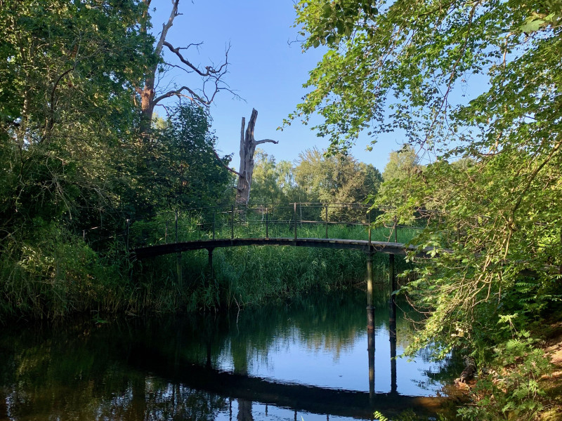 Indian Summer Stroll