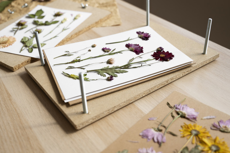 Project PlantenPlezier - Plantenpers maken - Creativiteit, Natuur, Ontspanning