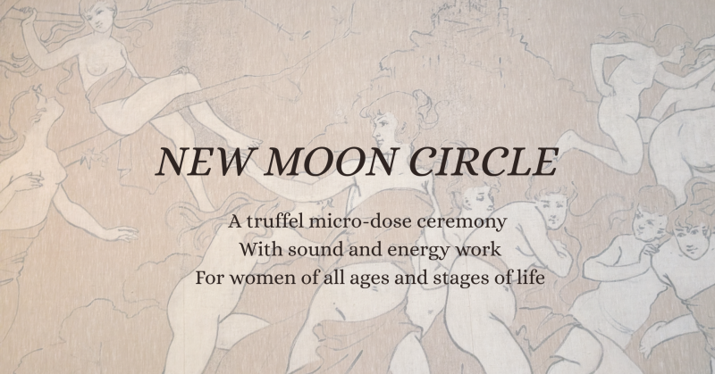 The September New Moon: a micro-dose journey for women