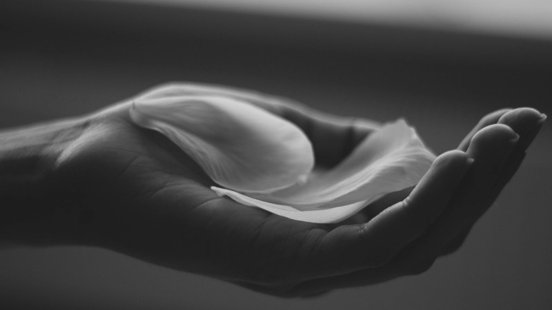Kashmirische massage Drenthe