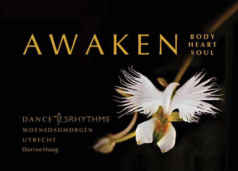 AWAKEN - 5Ritmes