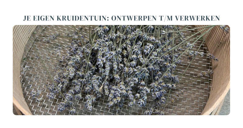Jaarcursus je eigen kruidentuin: Module 3 Verwerken I & Verzorgen