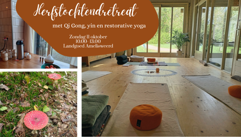 Herfstochtendretreat op Landgoed Amelisweerd bij Utrecht - Mini retreat in nature, Qi Gong, Yoga