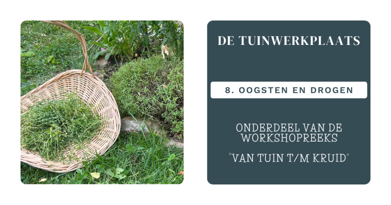 De Tuinwerkplaats Oogsten en drogen (8) - Natuur, Kruiden, Zelfvoorzienend Leven