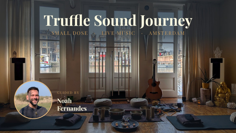 Music & Medicine: A microdose truffle journey with live music