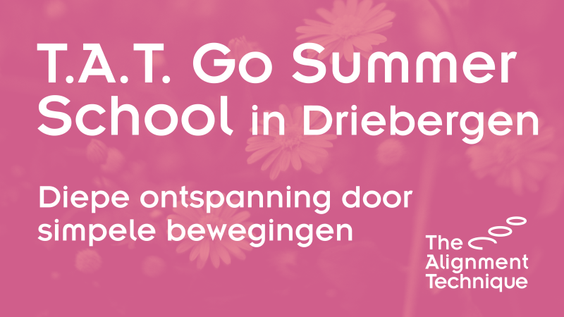 Go Summer School, The Alignment Technique - 11 & 12 Juli