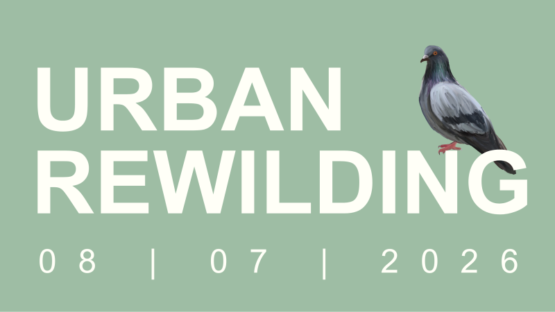 Urban Rewilding Workshop