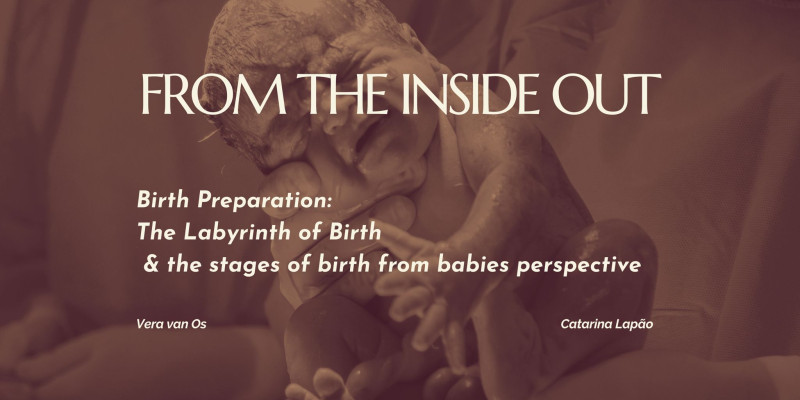 From the Inside Out - The Labyrinth of Birth & Babies Perspective