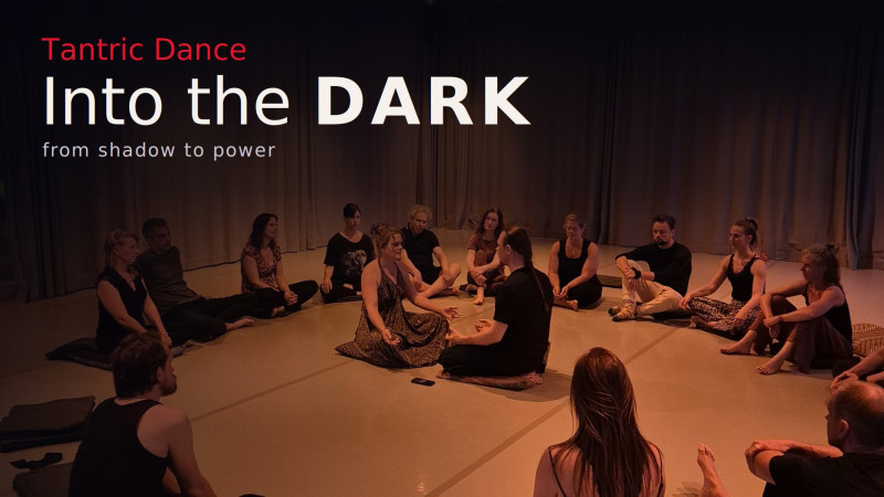 Tantric Dance INTO The DARK (reeks van 4)