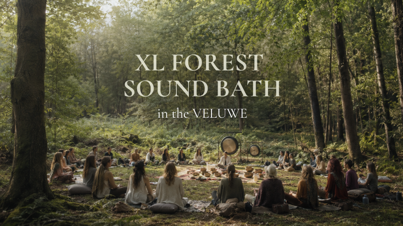 XL Forest Sound Bath in de VELUWE | Gongs, Handpan, Bowls & more - Klankreis-Soundbath, Bosbad - Shinrin Yoku, Klankbad
