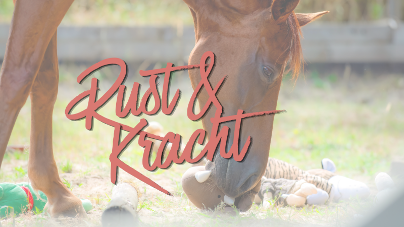 Rust & Kracht | Energetische Reis met Drum & Paardenkracht