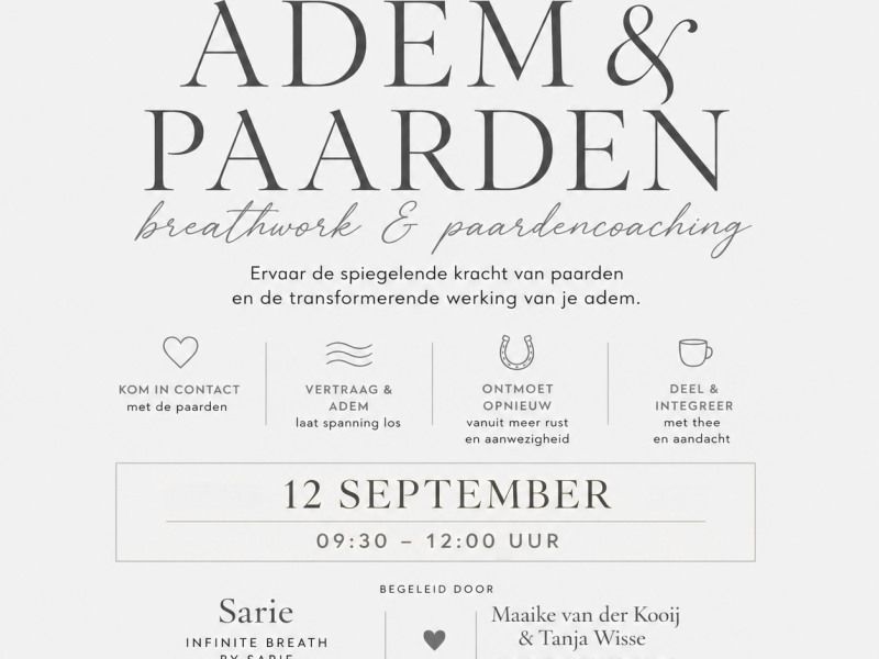 Adem & Paarden - een reis naar rust, inzicht en verbinding