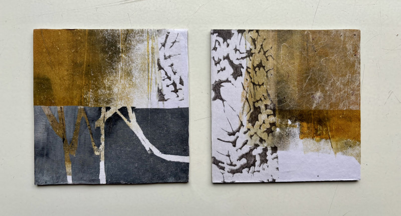 Collage Lab Bilthoven