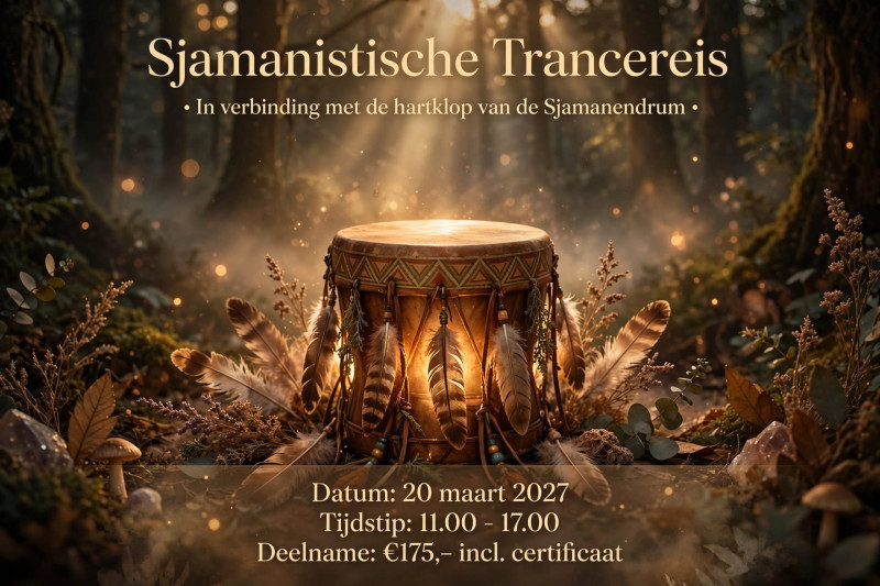 Trancereis in verbinding met je Sjamanendrum