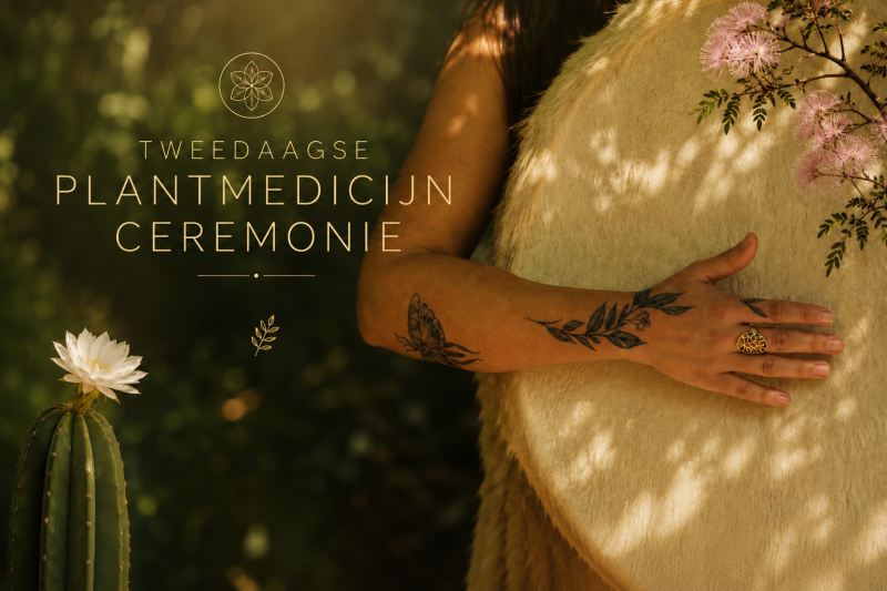 🌵Tweedaagse Plantmedicijn retreat🌿