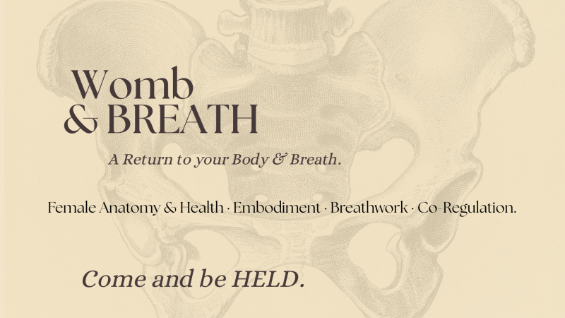 Womb & Breath  - Vrouwencirkels, Ademwerk, Lichaamswerk