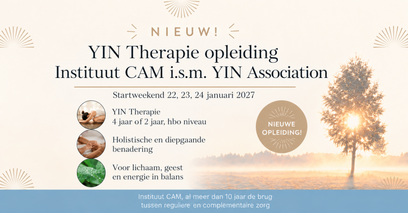 YIN Therapie Opleiding