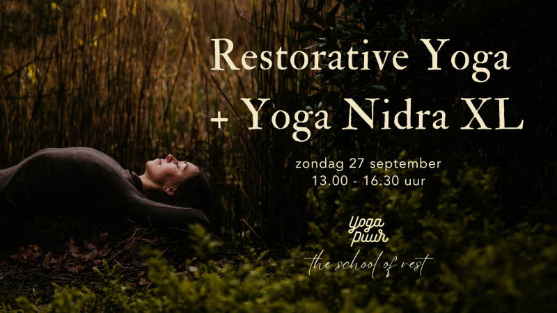 Restorative Yoga + Yoga Nidra XL