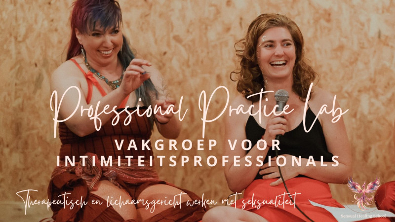 Professional Practice Lab: Running your business like a pro-domme.