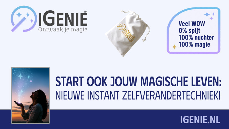 iGenie™ - de unieke zelfcontroleworkshop - 1 dag - Conciencia corporal, Autocuidado, Desarrollo personal