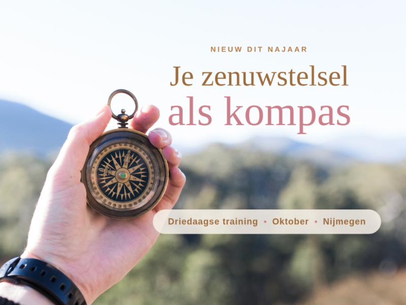 Je zenuwstelsel als kompas 3 - daagse training