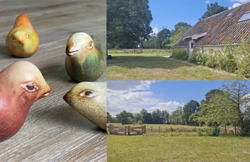 Familieopstellingen 🌳 Maarsbergen