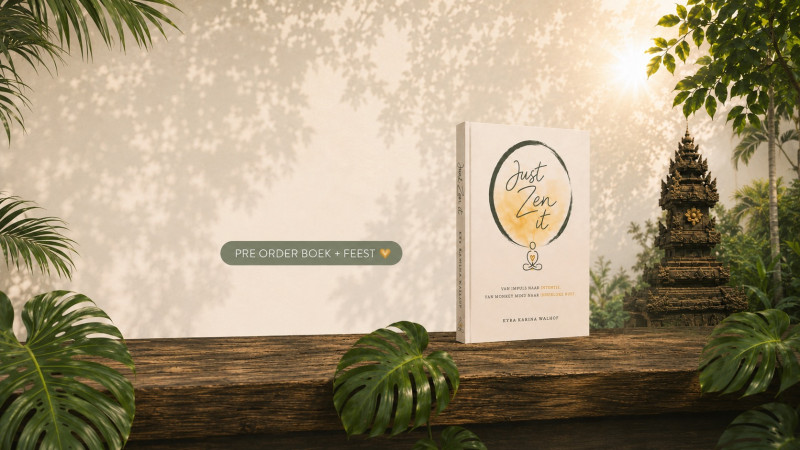 BOEK: JUST ZEN IT 