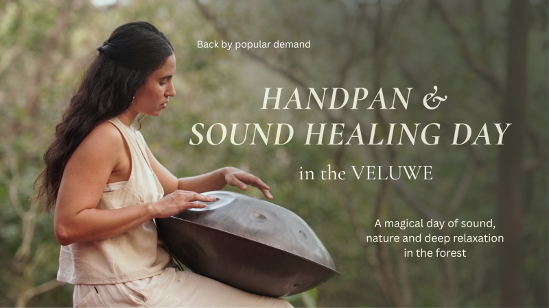 Handpan & Sound Healing Day in the Veluwe | Workshops & XL Sound Bath