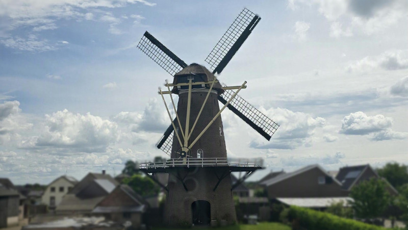 Familieopstelling | Loslaten wat niet meer bij je past
