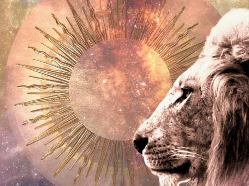 ✨️ LIONSGATE PORTAL ✨️ COSMIC SUNSET SOUNDBATH IN THE PARC