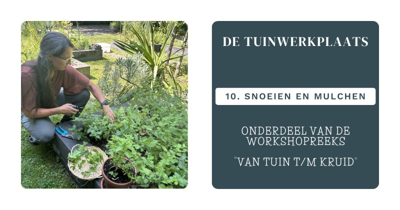 De Tuinwerkplaats: Snoeien en mulchen (10)