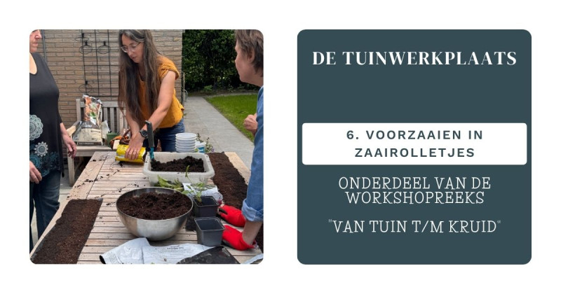 De Tuinwerkplaats: Voorzaaien zaairolletjes (6)