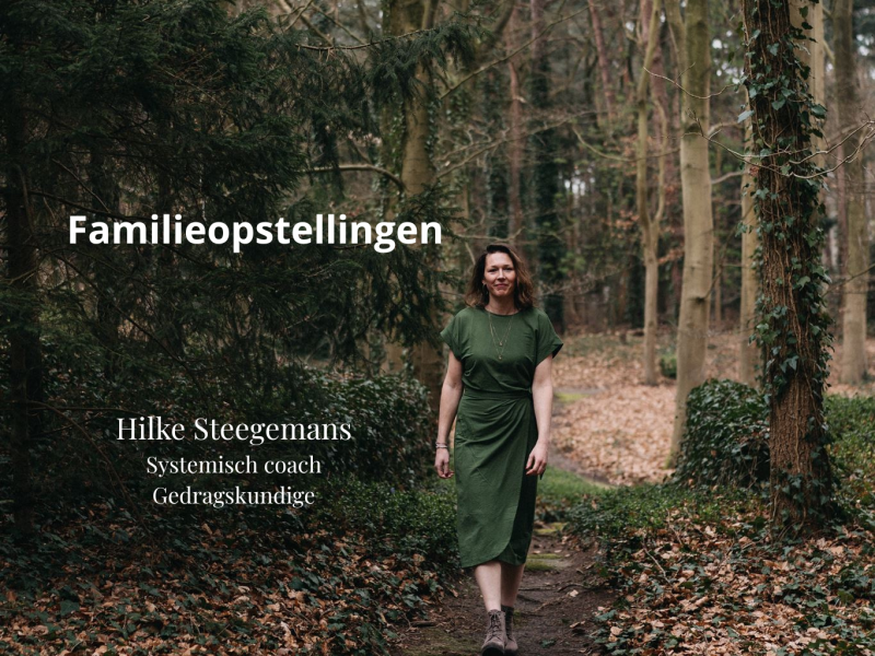 Familieopstellingen