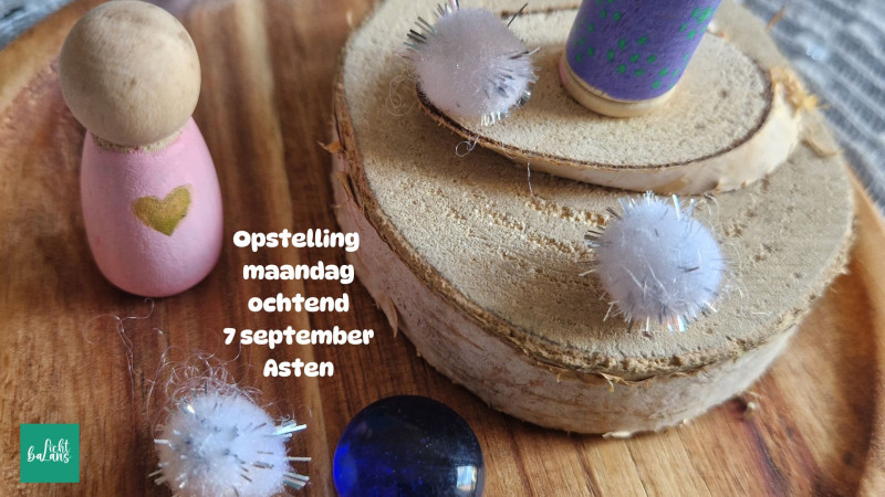 Familie opstellingen