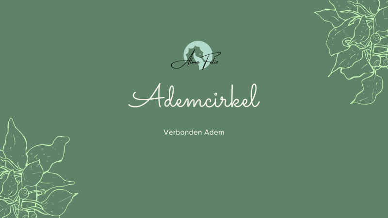 Ademsessie kennismaking | De Verbonden Adem